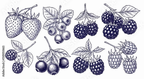 Strawberries, raspberries, blueberries, and blackberries porcelain decoration design (dark blue)
