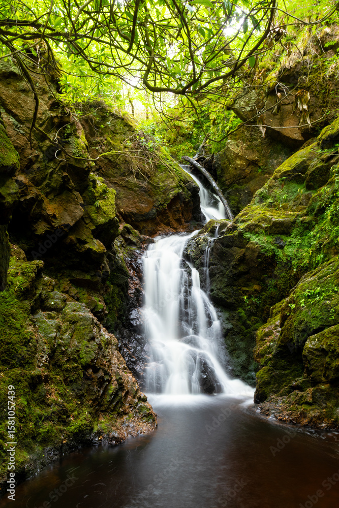 Fototapeta premium Falls 