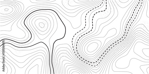 Topographic map background. Geographic line map with elevation assignments. Contour background geographic grid. Vector illustration.