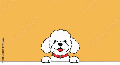 Adorable Bichon Frise Peeking Over a Ledge Adorable Fluffy White Puppy Animal Companion