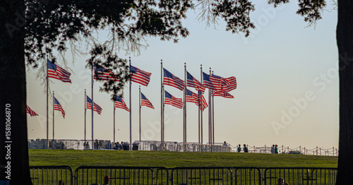 American flags