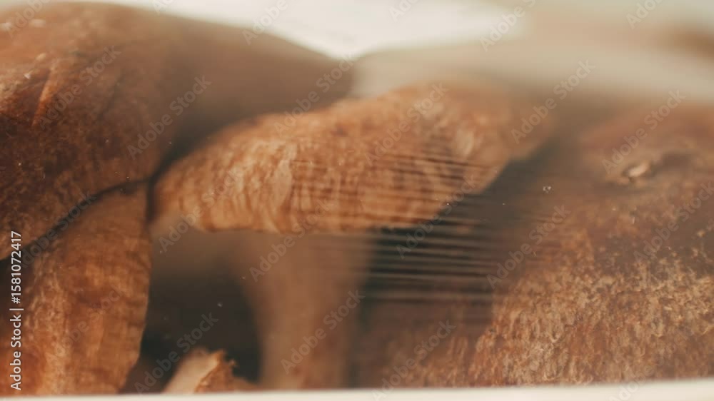 Healthy and fresh tasty vegetables Shiitake mushrooms 