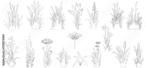 set of shrubs line cad, Ground cover. Illustration for elevation architectural element, side view, grass section.