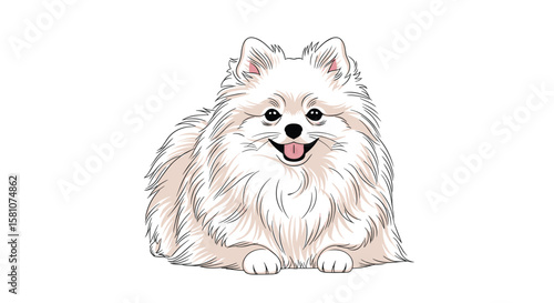 Adorable Fluffy White Pomeranian Puppy Dog Portrait with Happy Expression