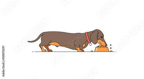 Chubby Dachshund Dog Enjoying Delicious Meal in a Bowl Outdoors