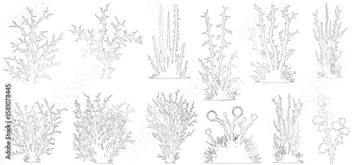 wild grass set black outline vector transparent background, grass, bush, herbs, shrub, tree big set vector