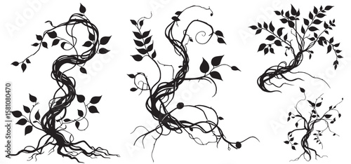 forest tree with roots and leaves silhouette set vector 