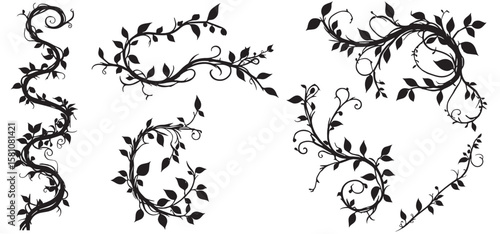 Liana plants silhouette. Tropical climbing creepers branches with moss, rainforest flora flat vector illustration isolated on white background