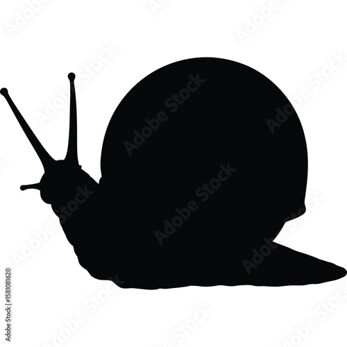 Snail Silhouette, Black and White, Garden Mollusk