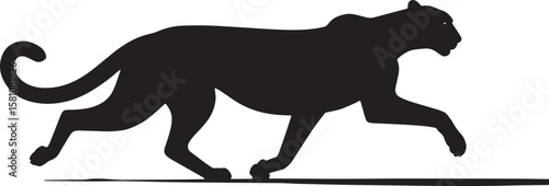 Black panther stalking gracefully across a white background silhouette