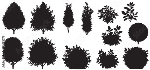 Set of ornamental black plant in the form of a hedge. Realistic garden shrub, seasonal bush, tree crown bush foliage. vector set