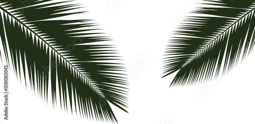 Two green palm fronds create a tropical, elegant design element