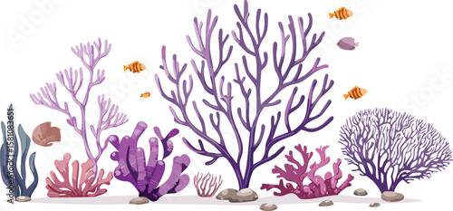 violet coral reef on white transparent background, ocean aquarium waterscape element, cutout png.biology, clip, colours, earth, purple, reef, soft, three-dimensional, transparent, underwater, aquatic,