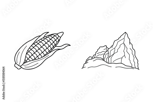 Corn cob and rocky mountain maize kernels