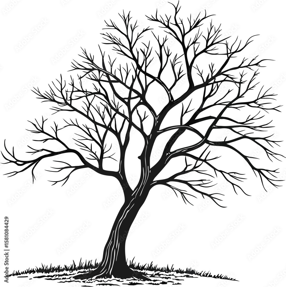 Obraz premium Simple black outline of a bare tree perfect for nature or seasonal designs