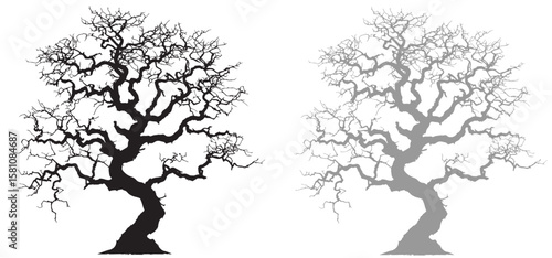 silhouette of a tree Tree without leaves silhouettes bundle Set of scary tree dead tree silhouettes Leafless tree set vector