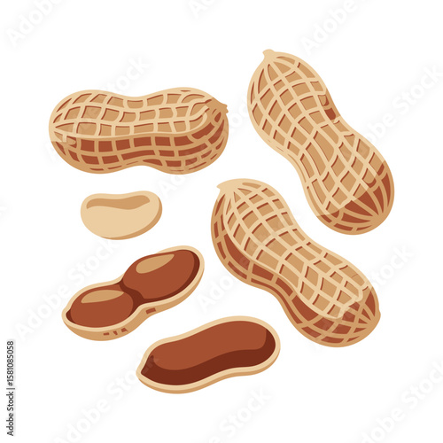 Assortment of peanuts in shells and shelled, A collection of peanuts, some in their textured shells, and others opened to reveal the nuts inside, showcasing different stages of preparation.
