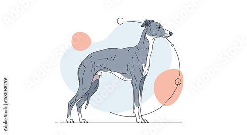 Understanding Greyhound Breeds Their Unique Characteristics and Temperaments