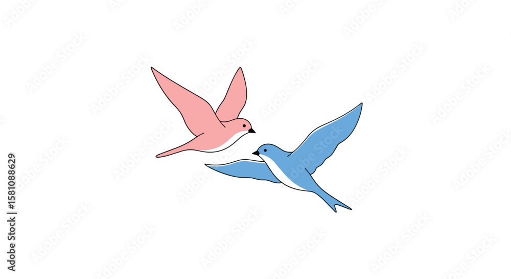 Obraz premium Two Flying Birds Approaching Each Other with Outstretched Wings