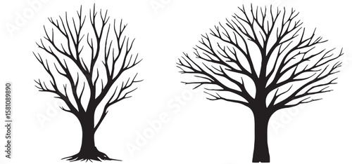 Bare Tree Silhouette set vector illustration