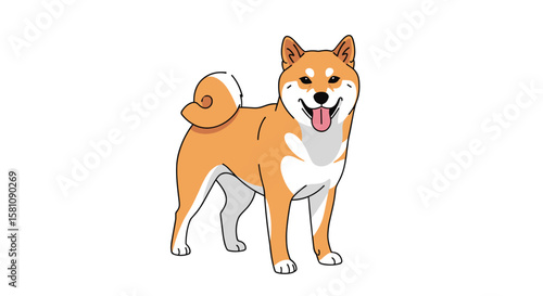 Adorable Shiba Inu Dog Standing Happily with Tongue Out Wagging Tail Cute Pet Animal