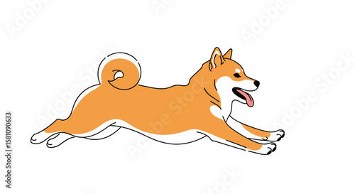 Energetic Shiba Inu Dog Running with Joyful Expression and Wagging Tail
