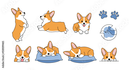 Adorable Corgi Pups Posing in Various Cute Playful and Sleepy Positions For Animal Lovers