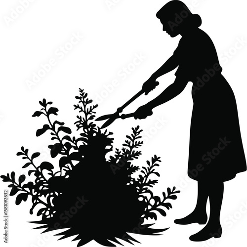 Woman Silhouette Pruning Bush, Gardening, Silhouette, Black and White