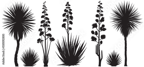 Collection of desert plant silhouettes yucca tree vector
