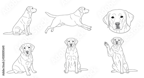 Collection of Adorable Dog Illustrations in Various Poses and Expressions