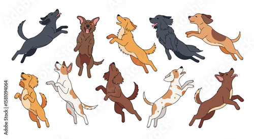 Capturing the Joyful Energy of Dogs in Playful Leaps and Bounces