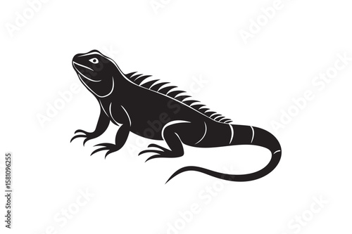 Green iguana silhouette.