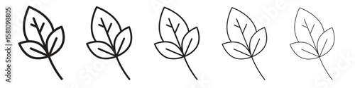 Basil icon in thin to bold stroke versions on white background