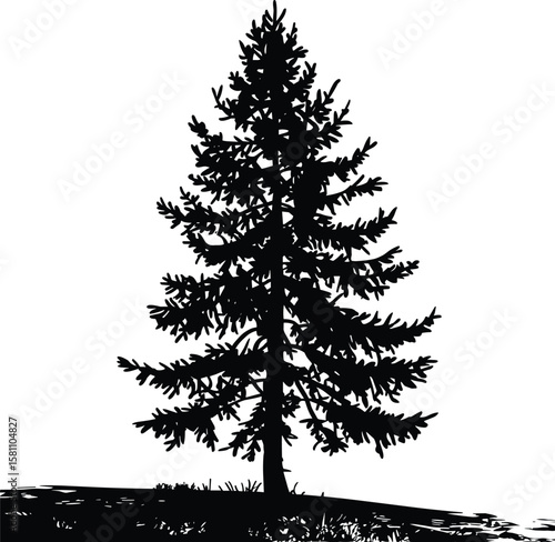 Pine Tree Silhouette Isolated Vector Illustration, Black silhouette of a tall evergreen tree, pine tree vector art design, Christmas tree silhouette art, Holiday Elements illustration 