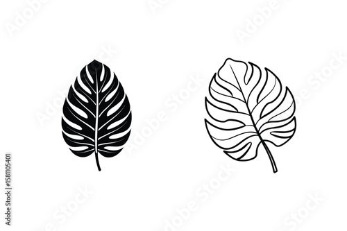 Monstera leaf silhouette and outline tropical leaf