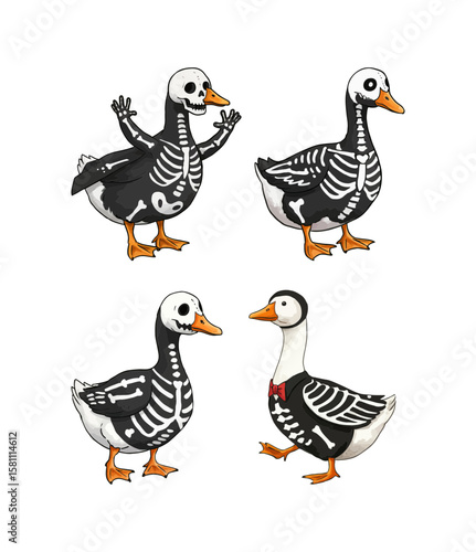 Four cute ducks and geese dressed as skeletons for halloween