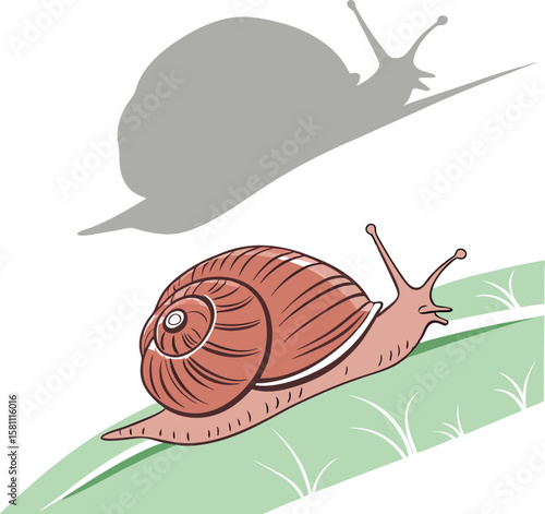 Vector art of a snail with a brown shell crawls up a green leaf, casting a shadow