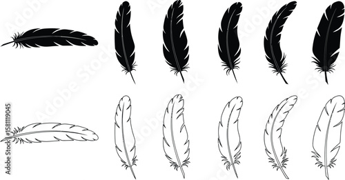 Collection of elegant feather silhouettes in black and outline versions