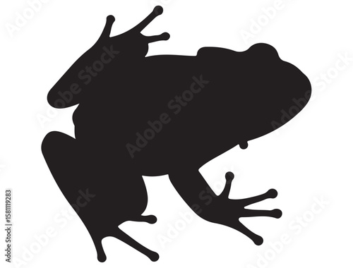 FROG SILHOUETT