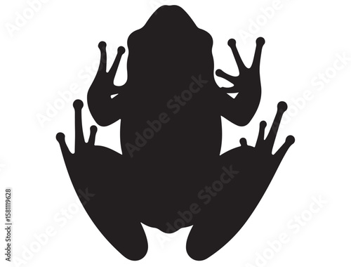 FROG SILHOUETT