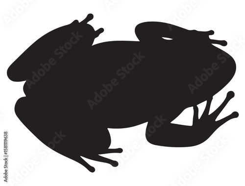 FROG SILHOUETT