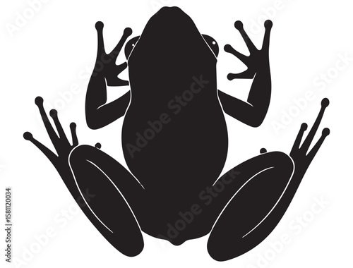 FROG SILHOUETT