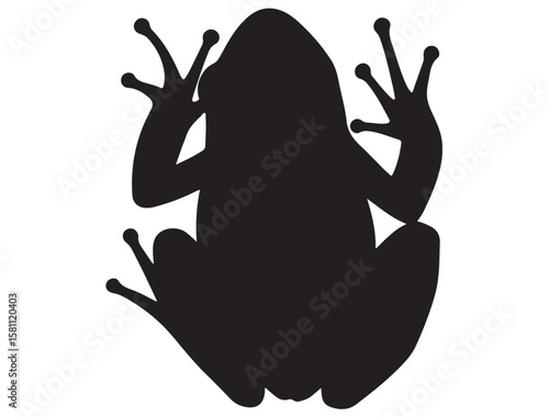 FROG SILHOUETT