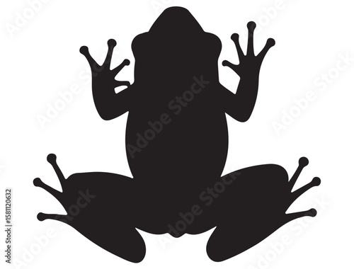 FROG SILHOUETT