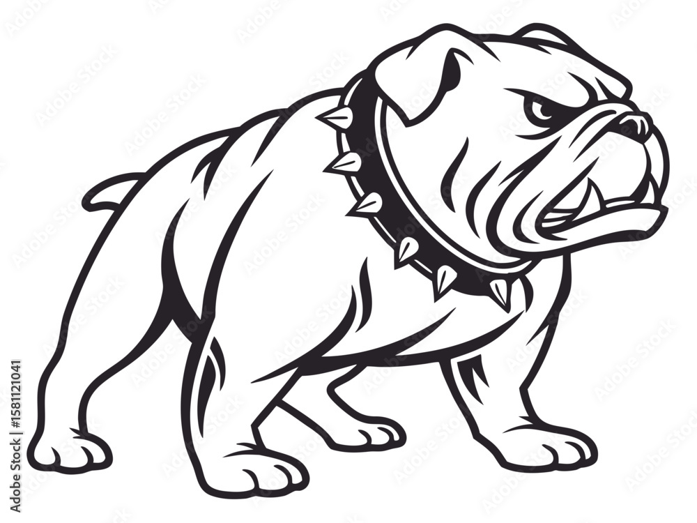 Fototapeta premium Powerful Bulldog Mascot with Spiked Collar