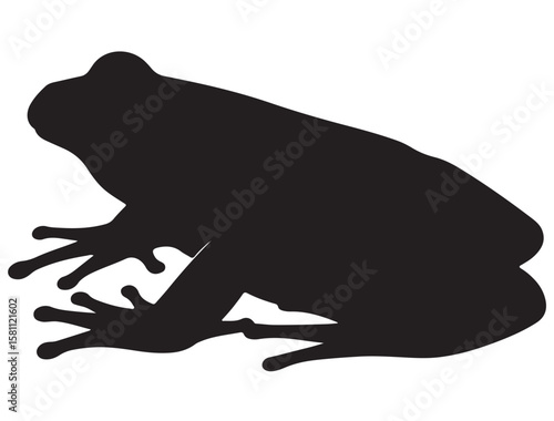 FROG SILHOUETT
