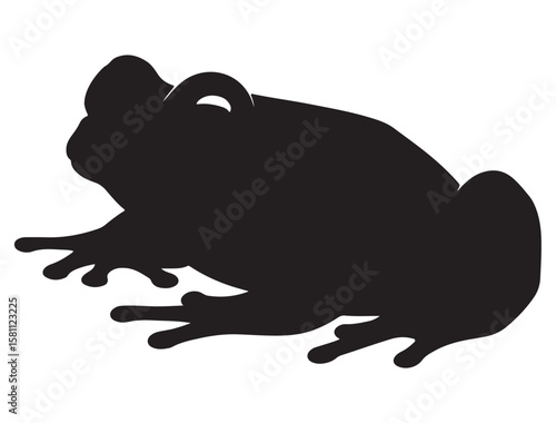FROG SILHOUETT