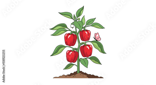 Vibrant red bell peppers growing on a healthy green plant with a delicate pink butterfly nearby in a garden setting