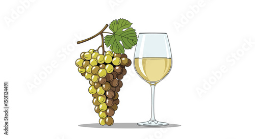 Fresh green grapes beside a delicate glass of white wine beverage
