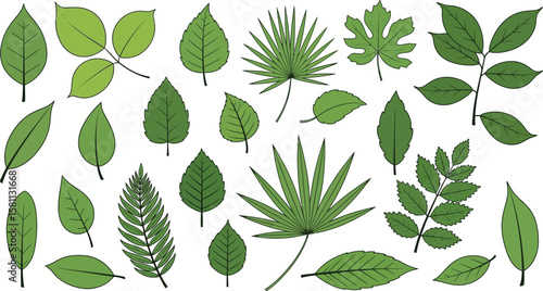 Assorted green leaves of various plants showcase nature's beauty
